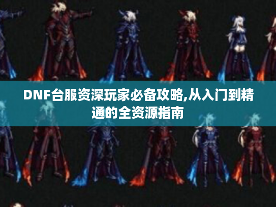 DNF台服资深玩家必备攻略,从入门到精通的全资源指南
