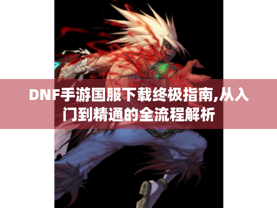 DNF手游国服下载终极指南,从入门到精通的全流程解析