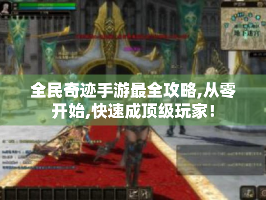 全民奇迹手游最全攻略,从零开始,快速成顶级玩家！