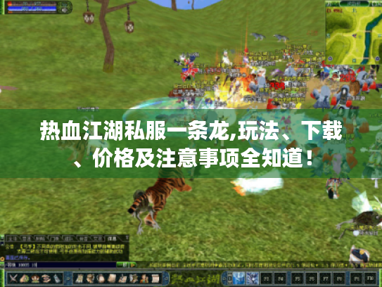 热血江湖私服一条龙,玩法、下载、价格及注意事项全知道！