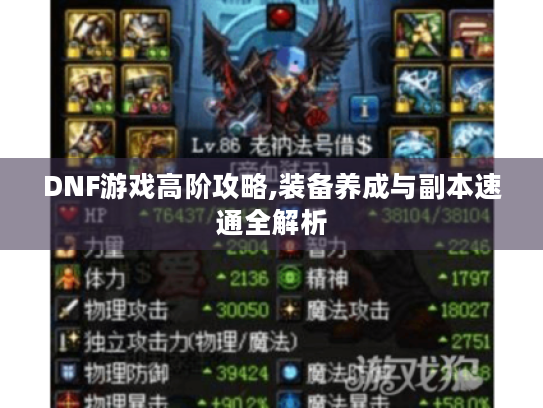 DNF游戏高阶攻略,装备养成与副本速通全解析
