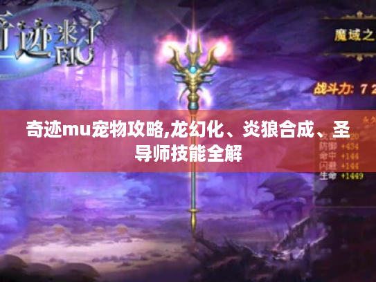 奇迹mu宠物攻略,龙幻化、炎狼合成、圣导师技能全解