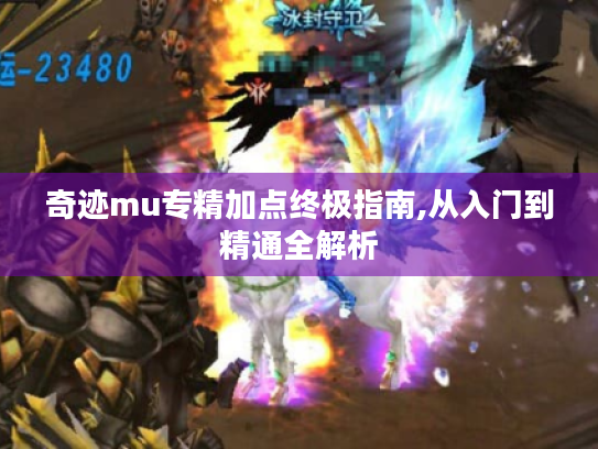 奇迹mu专精加点终极指南,从入门到精通全解析 奇迹mu专精加点终极指南,从入门到精通全解析