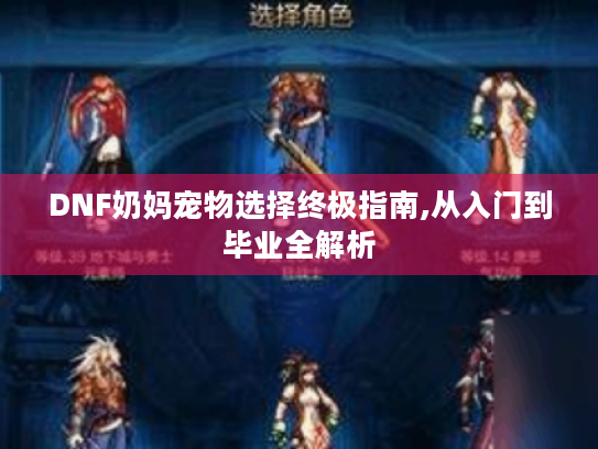 DNF奶妈宠物选择终极指南,从入门到毕业全解析