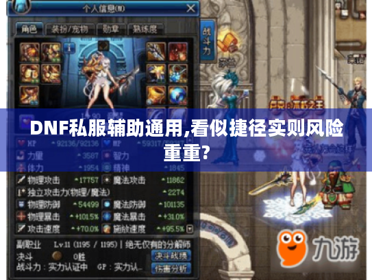 DNF私服辅助通用,看似捷径实则风险重重?