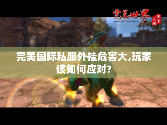 完美国际私服外挂危害大,玩家该如何应对?