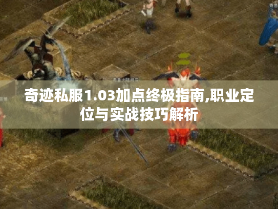 奇迹私服1.03加点终极指南,职业定位与实战技巧解析