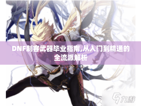 DNF刺客武器毕业指南,从入门到精通的全流派解析