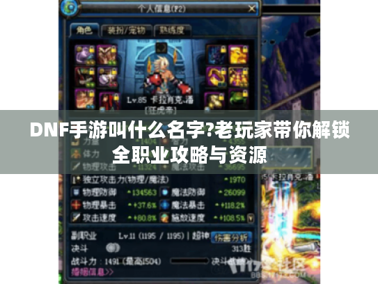 DNF手游叫什么名字?老玩家带你解锁全职业攻略与资源