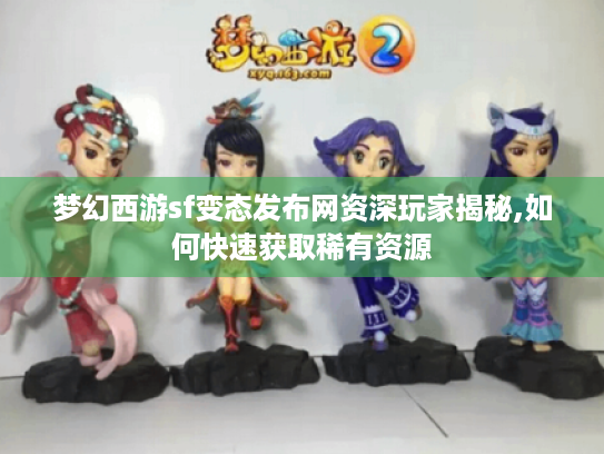 梦幻西游sf变态发布网资深玩家揭秘,如何快速获取稀有资源