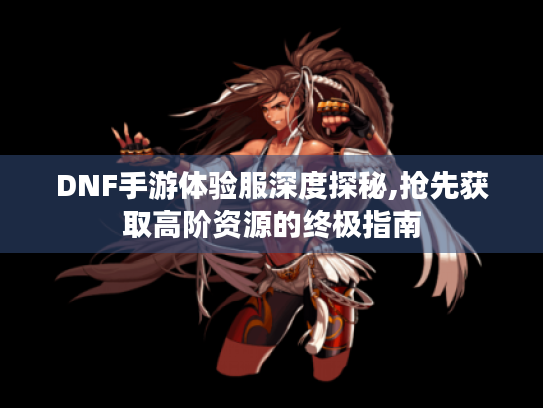DNF手游体验服深度探秘,抢先获取高阶资源的终极指南