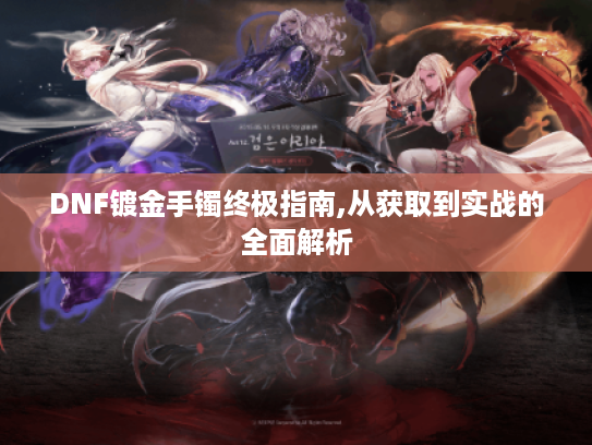 DNF镀金手镯终极指南,从获取到实战的全面解析