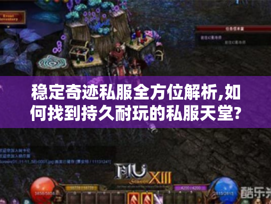 稳定奇迹私服全方位解析,如何找到持久耐玩的私服天堂?