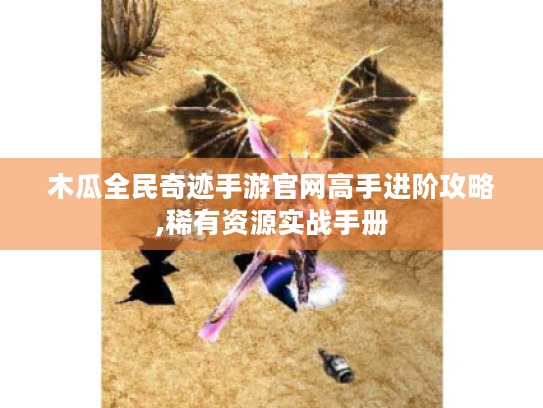 木瓜全民奇迹手游官网高手进阶攻略,稀有资源实战手册