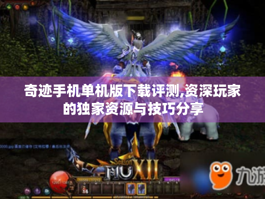 奇迹手机单机版下载评测,资深玩家的独家资源与技巧分享