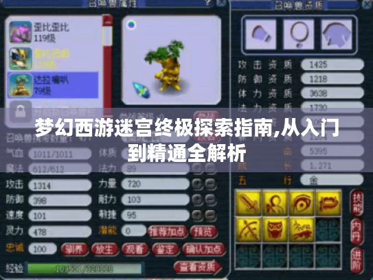 梦幻西游迷宫终极探索指南,从入门到精通全解析