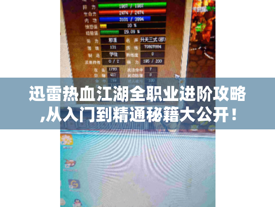 迅雷热血江湖全职业进阶攻略,从入门到精通秘籍大公开! 迅雷热血江湖全职业进阶攻略,从入门到精通秘籍大公开!