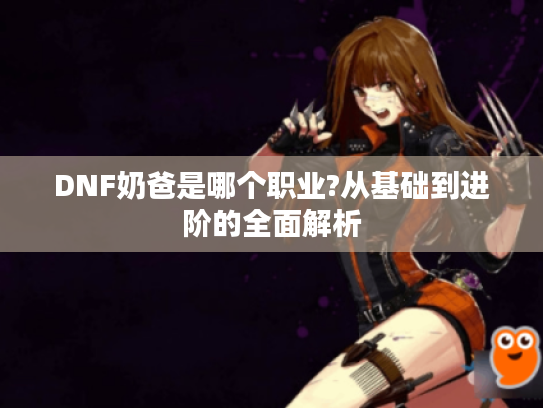 DNF奶爸是哪个职业?从基础到进阶的全面解析