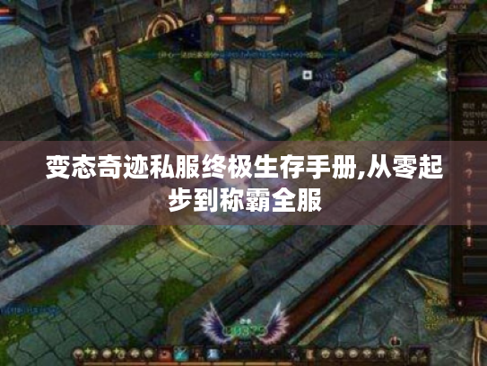 变态奇迹私服终极生存手册,从零起步到称霸全服