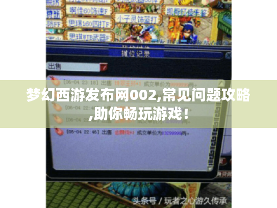 梦幻西游发布网002,常见问题攻略,助你畅玩游戏！