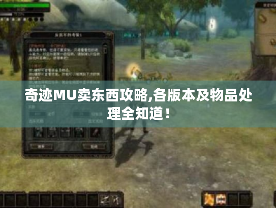奇迹MU卖东西攻略,各版本及物品处理全知道！