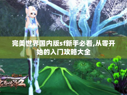 完美世界国内版sf新手必看,从零开始的入门攻略大全