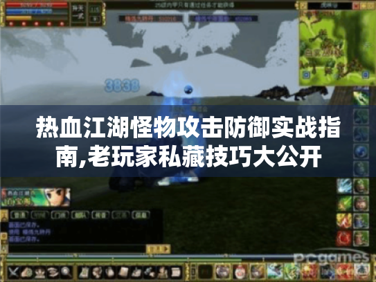 热血江湖怪物攻击防御实战指南,老玩家私藏技巧大公开
