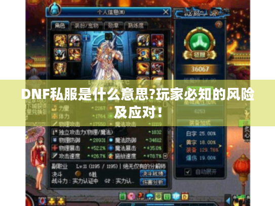 DNF私服是什么意思?玩家必知的风险及应对！