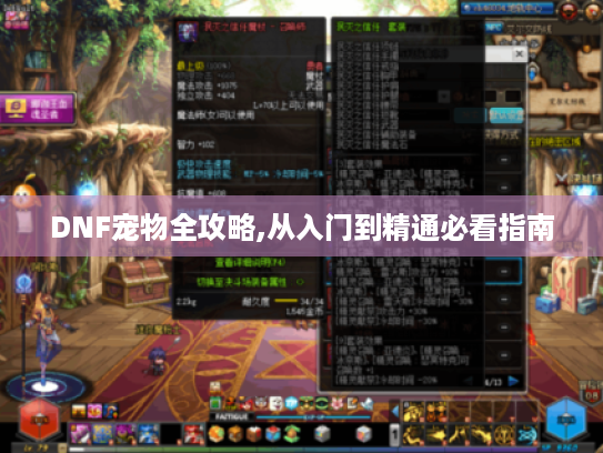 DNF宠物全攻略,从入门到精通必看指南