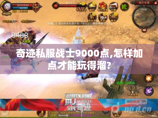 奇迹私服战士9000点,怎样加点才能玩得溜?