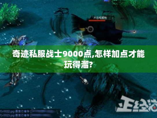 奇迹私服战士9000点,怎样加点才能玩得溜?