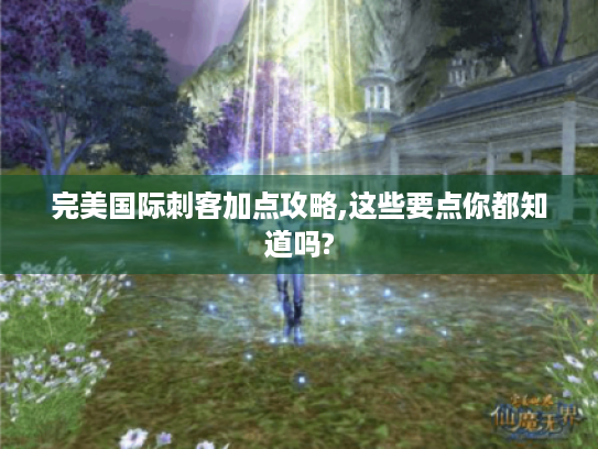 完美国际刺客加点攻略,这些要点你都知道吗? 完美国际刺客加点攻略,这些要点你都知道吗?
