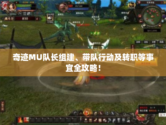 奇迹MU队长组建、带队行动及转职等事宜全攻略！