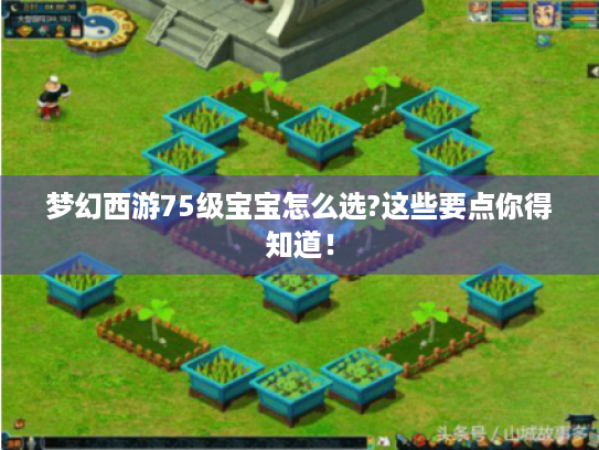 梦幻西游75级宝宝怎么选?这些要点你得知道! 梦幻西游75级宝宝怎么选?这些要点你得知道!