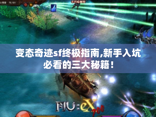 变态奇迹sf终极指南,新手入坑必看的三大秘籍！