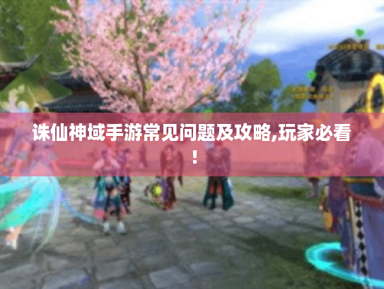 诛仙神域手游常见问题及攻略,玩家必看！