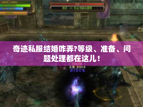 奇迹私服结婚咋弄?等级、准备、问题处理都在这儿! 奇迹私服结婚咋弄?等级、准备、问题处理都在这儿!