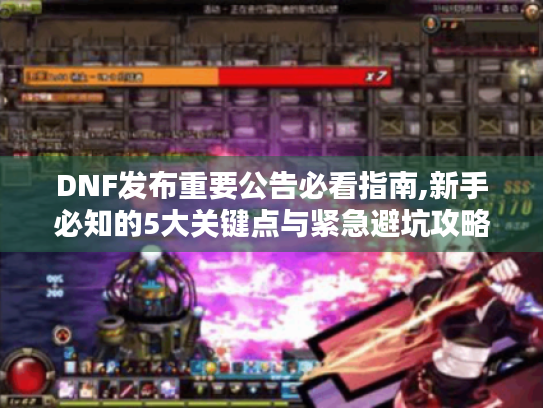 DNF发布重要公告必看指南,新手必知的5大关键点与紧急避坑攻略