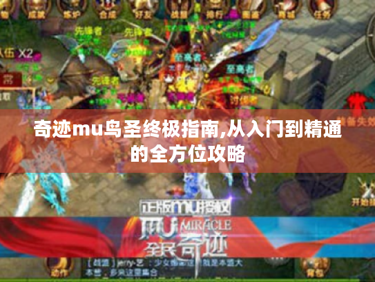 奇迹mu鸟圣终极指南,从入门到精通的全方位攻略