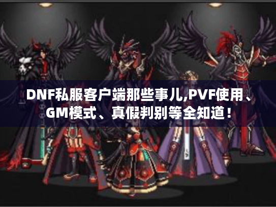 DNF私服客户端那些事儿,PVF使用、GM模式、真假判别等全知道！