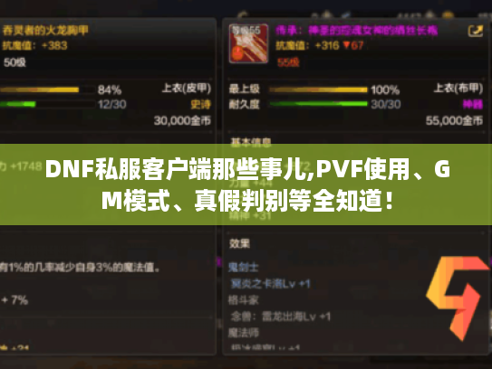 DNF私服客户端那些事儿,PVF使用、GM模式、真假判别等全知道！