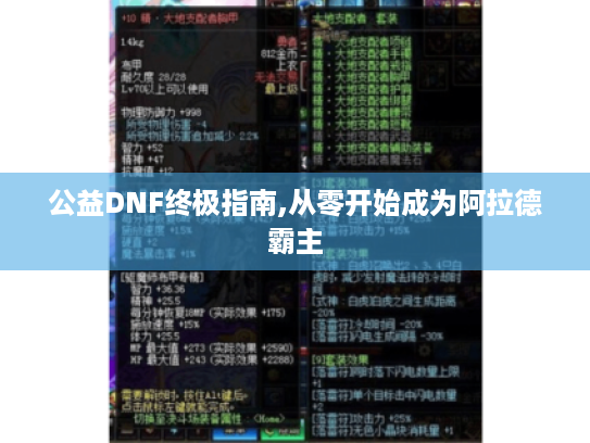 公益DNF终极指南,从零开始成为阿拉德霸主