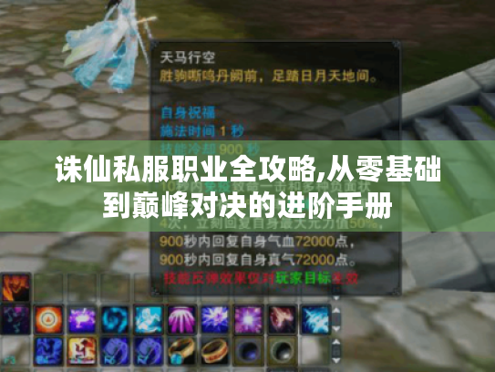 诛仙私服职业全攻略,从零基础到巅峰对决的进阶手册