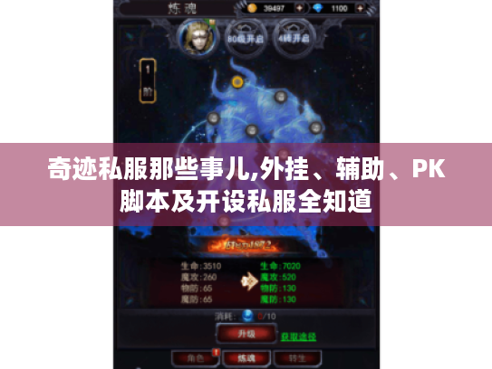 奇迹私服那些事儿,外挂、辅助、PK脚本及开设私服全知道