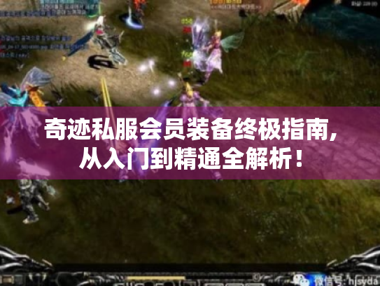 奇迹私服会员装备终极指南,从入门到精通全解析！