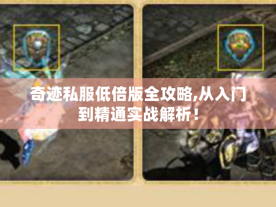 奇迹私服低倍版全攻略,从入门到精通实战解析！