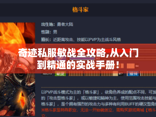 奇迹私服敏战全攻略,从入门到精通的实战手册！