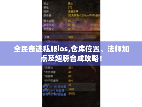 全民奇迹私服ios,仓库位置、法师加点及翅膀合成攻略！
