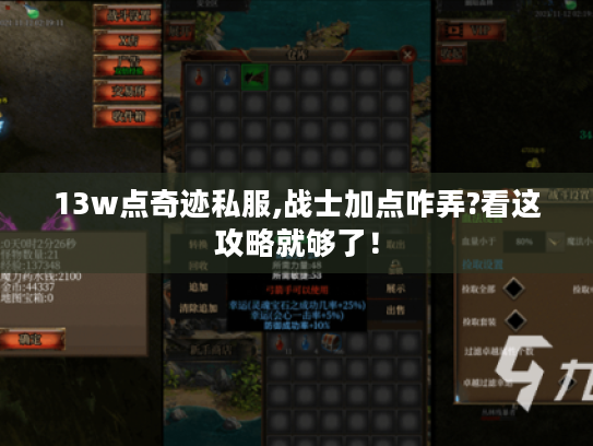 13w点奇迹私服,战士加点咋弄?看这攻略就够了！