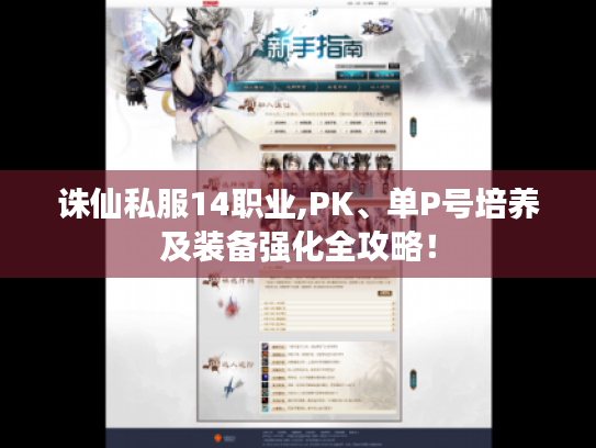 诛仙私服14职业,PK、单P号培养及装备强化全攻略！